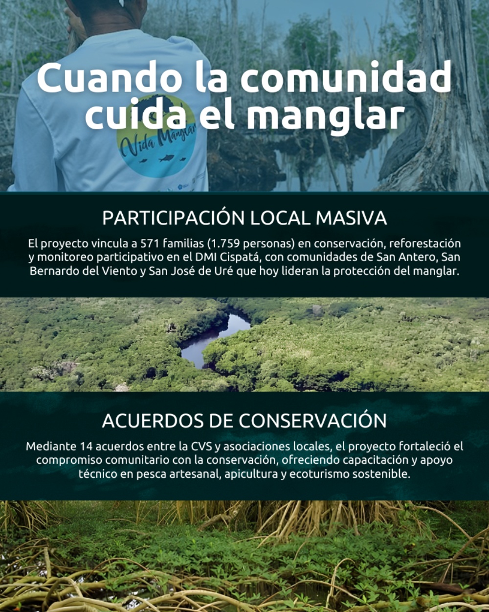 Slide 1 infografía 6